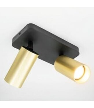 Heldr Deckenstrahler Ivy 2L - Schwarz/Gold