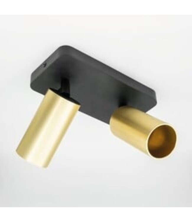 HELDR! Industrieller Deckenstrahler Ivy 2L - Schwarz/Gold