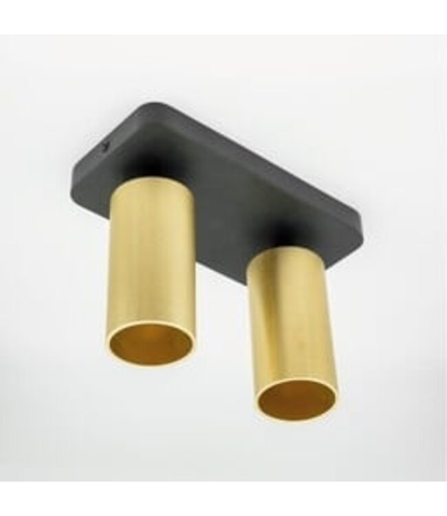 HELDR! Industrieller Deckenstrahler Ivy 2L - Schwarz/Gold