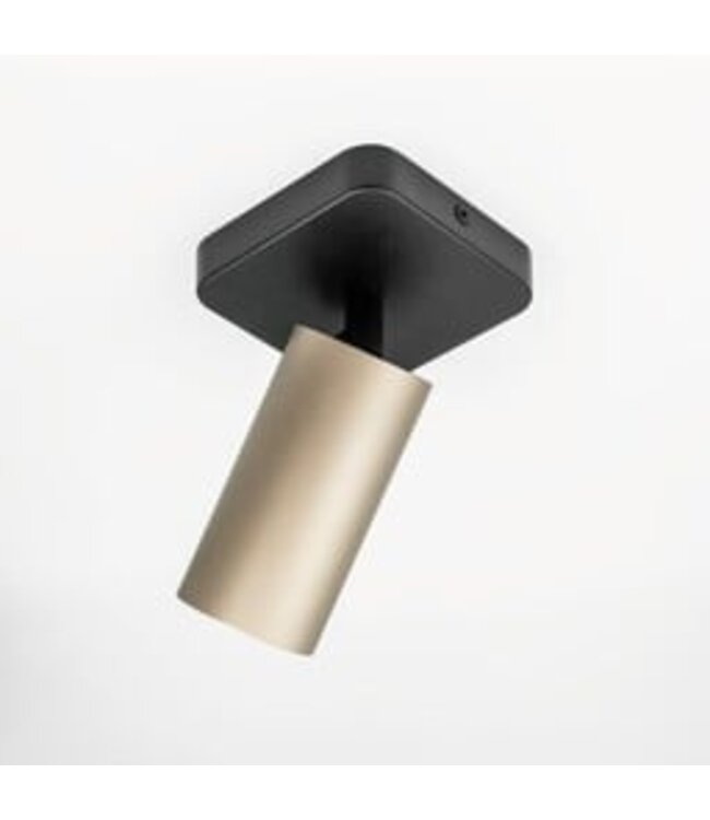 HELDR! Industrieller Deckenstrahler Ivy 1L - Schwarz/Champagner