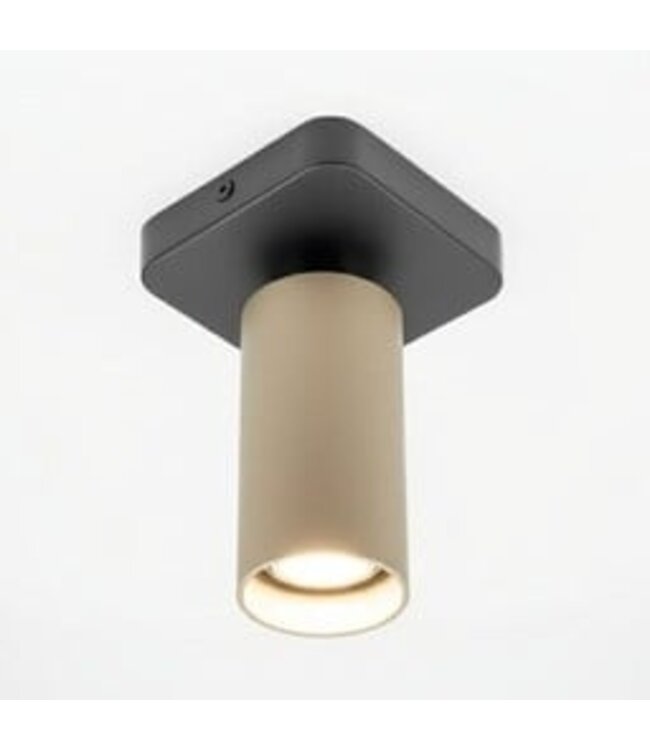 HELDR! Industrieller Deckenstrahler Ivy 1L - Schwarz/Champagner