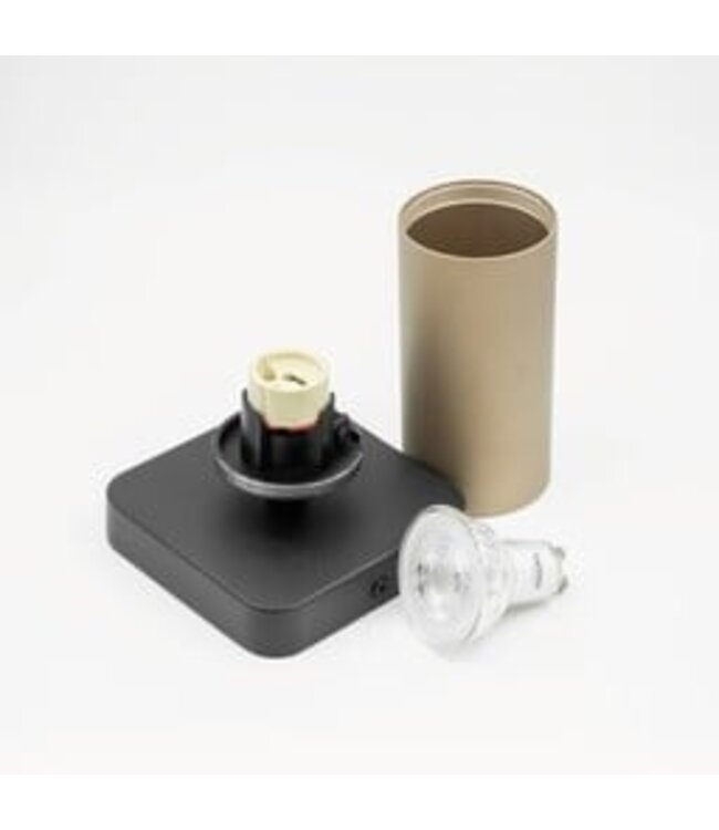 HELDR! Industrieller Deckenstrahler Ivy 1L - Schwarz/Champagner