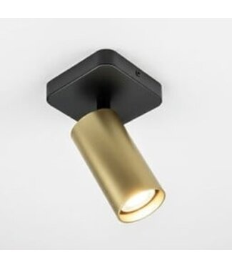Heldr Deckenstrahler Ivy 1L - Schwarz/Gold