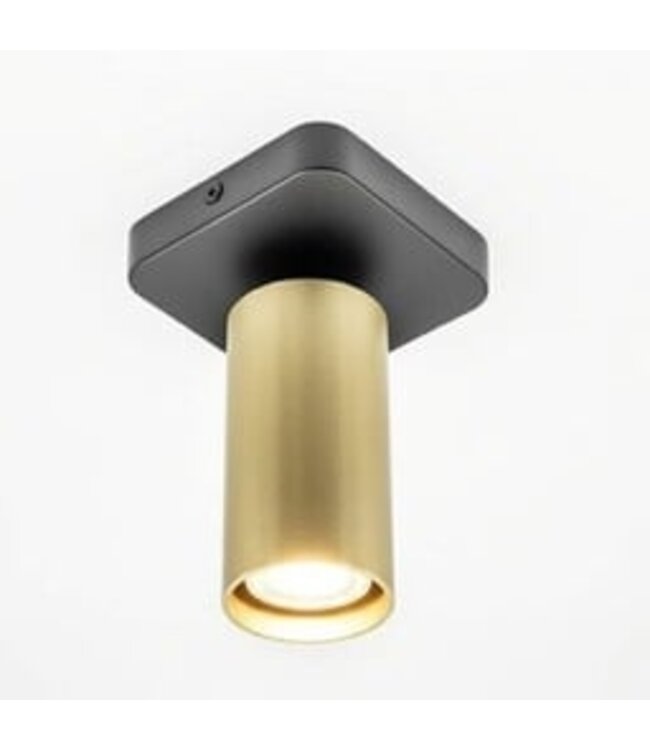 HELDR! Industrieller Deckenstrahler Ivy 1L - Schwarz/Gold