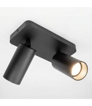 Heldr Deckenstrahler Ivy 2L - Schwarz