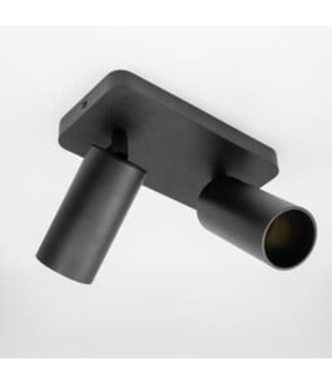 HELDR! Industrieller Deckenstrahler Ivy 2L - Schwarz
