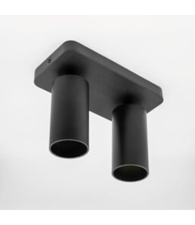 HELDR! Industrieller Deckenstrahler Ivy 2L - Schwarz