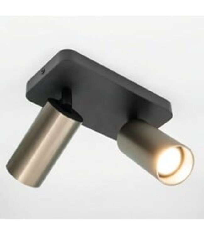 HELDR! Industrieller Deckenstrahler Ivy 2L - Schwarz/Gun Metal