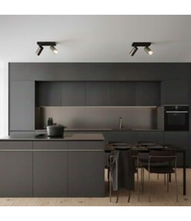 HELDR! Industrieller Deckenstrahler Ivy 2L - Schwarz/Gun Metal