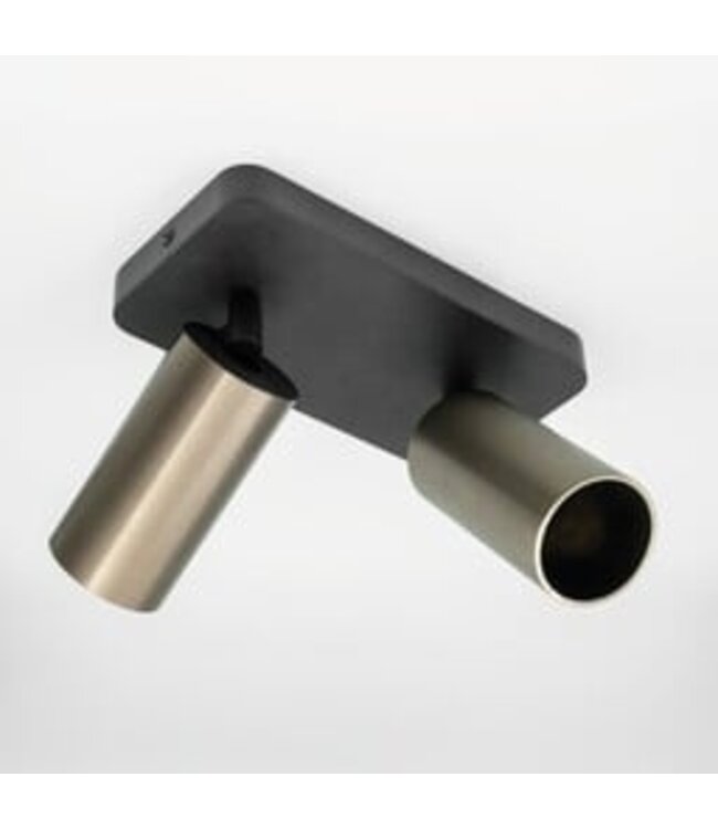 HELDR! Industrieller Deckenstrahler Ivy 2L - Schwarz/Gun Metal