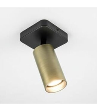 Heldr Deckenstrahler Ivy 1L - Schwarz/Antikbronze