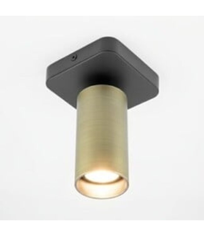HELDR! Industrieller Deckenstrahler Ivy 1L - Schwarz/Antikbronze