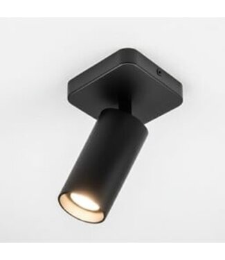 Heldr Deckenstrahler Ivy 1L - Schwarz