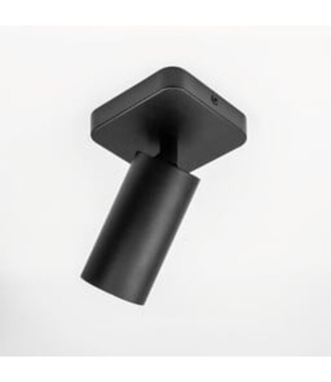 HELDR! Industrieller Deckenstrahler Ivy 1L - Schwarz