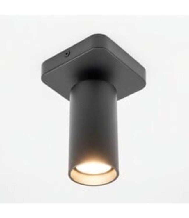 HELDR! Industrieller Deckenstrahler Ivy 1L - Schwarz