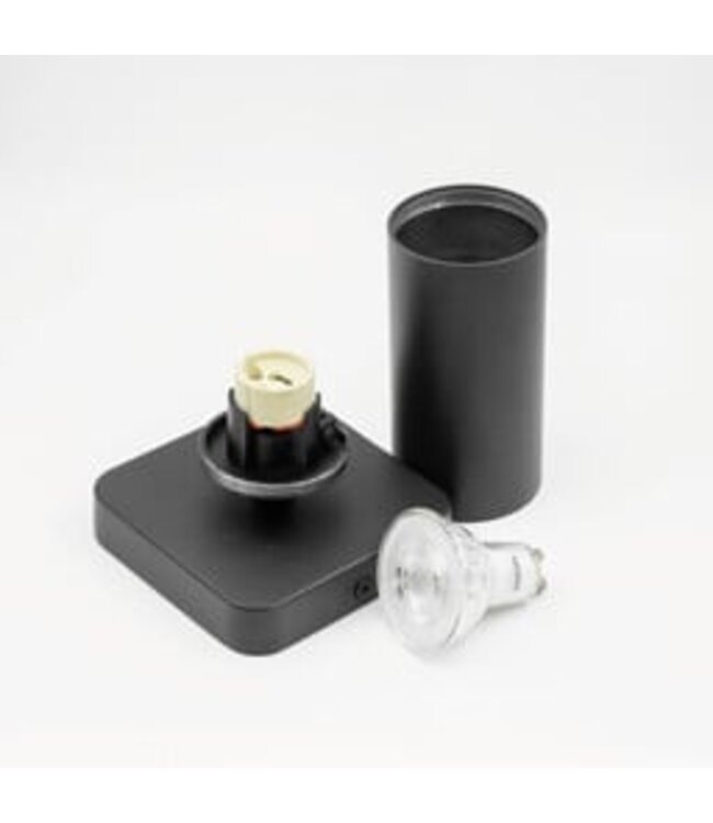 HELDR! Industrieller Deckenstrahler Ivy 1L - Schwarz