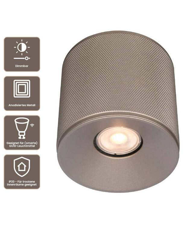 Artdelight Industrielle GU10-Deckenleuchte Costa - Champagner