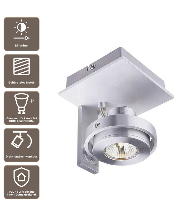 Artdelight Moderner Deckenstrahler Meist 1L - Aluminium