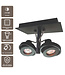 Artdelight Moderner Deckenstrahler Meist 2L - Schwarz