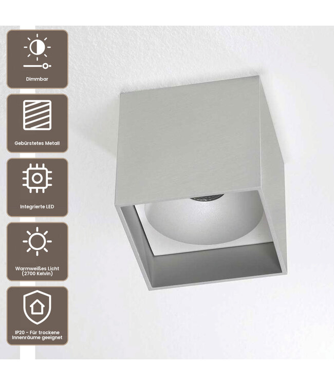 Artdelight Industrielle LED-Deckenleuchte Brock - Aluminium/Silber