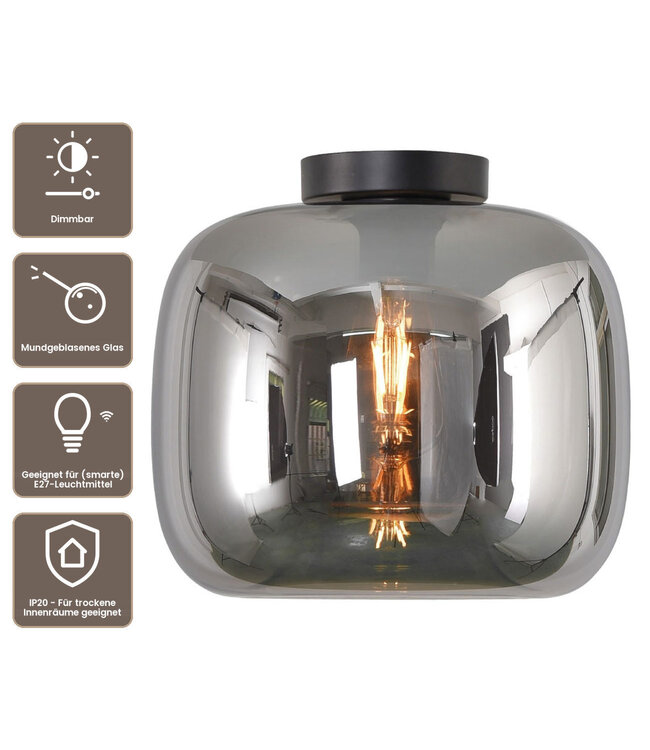 Artdelight Glas-Deckenleuchte Preston 28 cm - Titanglas
