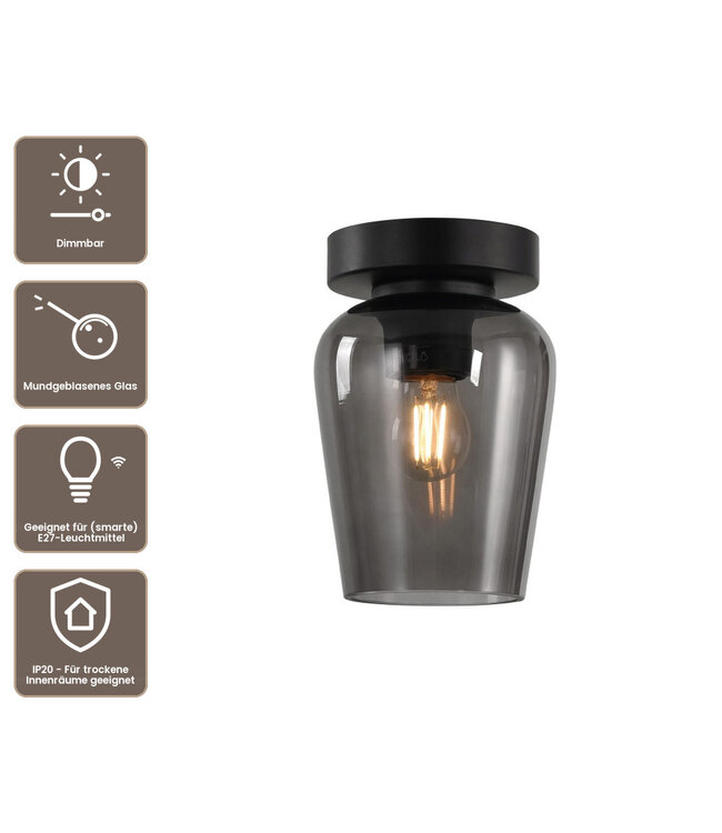 Artdelight Glas-Deckenleuchte Tombo 12,5 cm - Rauchgrau