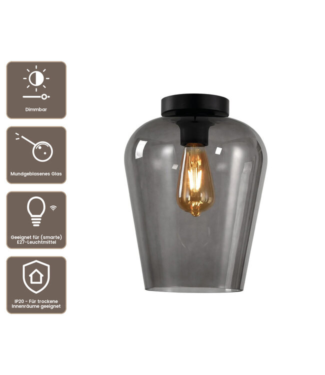 Artdelight Glas-Deckenleuchte Tombo 23 cm - Rauchgrau