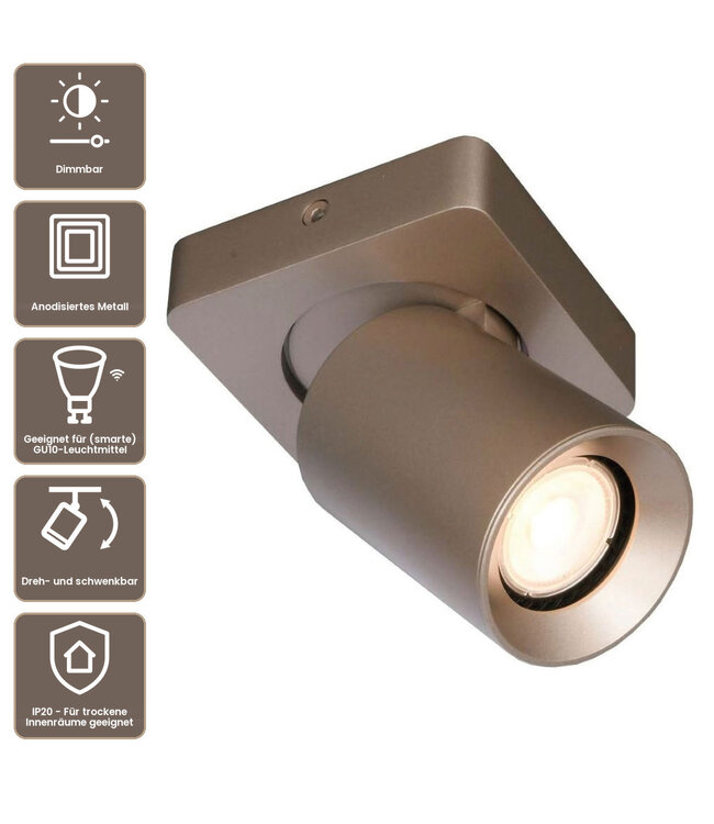 Artdelight Industrieller Deckenstrahler Megano 1L - Champagner