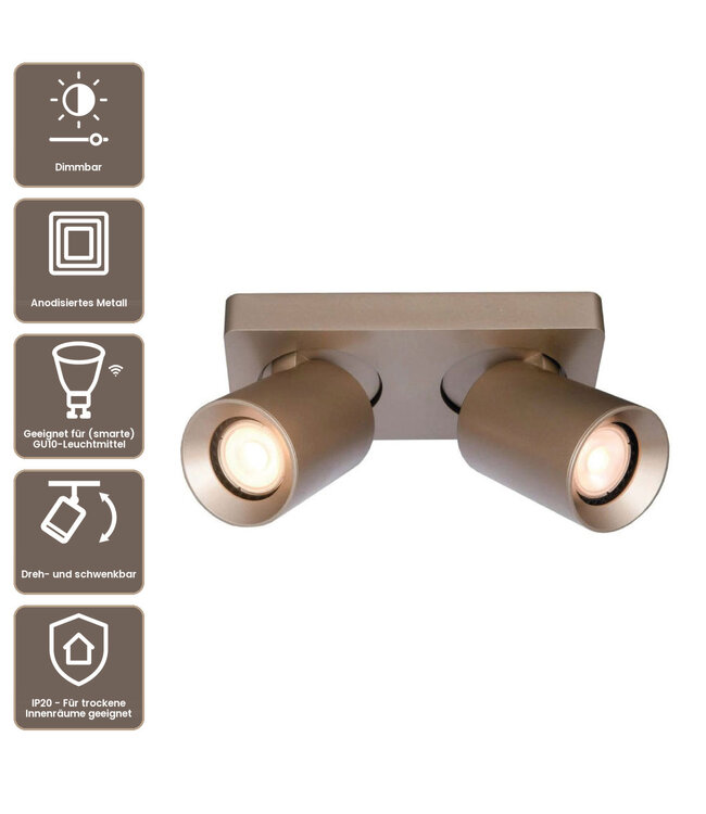 Artdelight Industrieller Deckenstrahler Megano 2L - Champagner