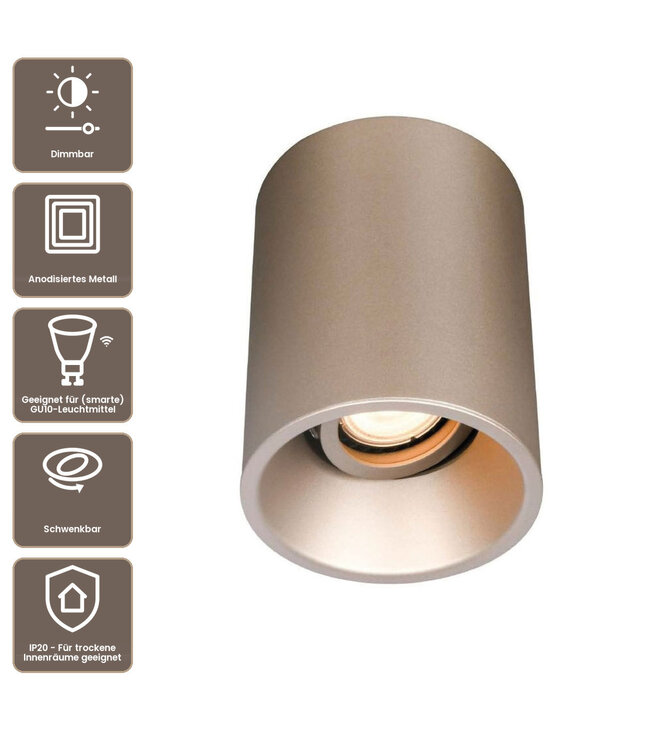 Artdelight Industrielle GU10-Deckenleuchte Moreno - Champagner