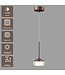 Artdelight Design-LED-Pendelleuchte Phoenix - Dunkelbronze