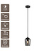 Artdelight Glas-Pendelleuchte Tombo 12,5 cm - Rauchgrau