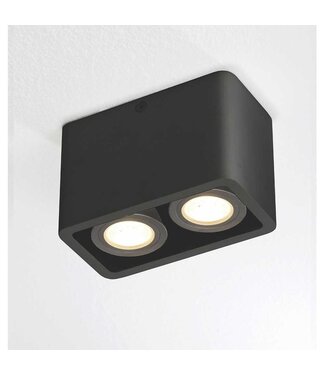 Artdelight Deckenstrahler Bronx 2L - Schwarz