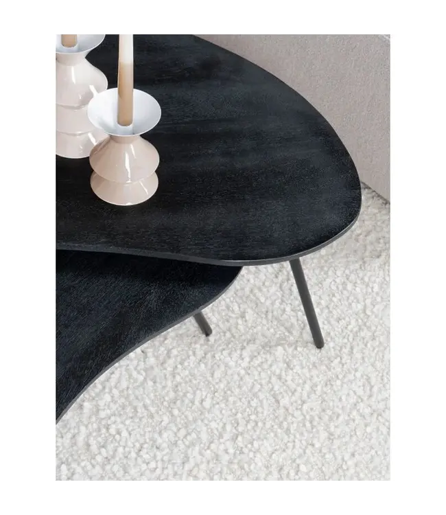 Home67 Salontafel Ludo Zwart – Organisch – Set van 2