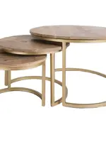 Home67 Salontafel Bart Goud - Set van 3