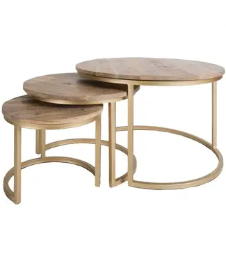 Home67 Salontafel Bart Goud - Set van 3