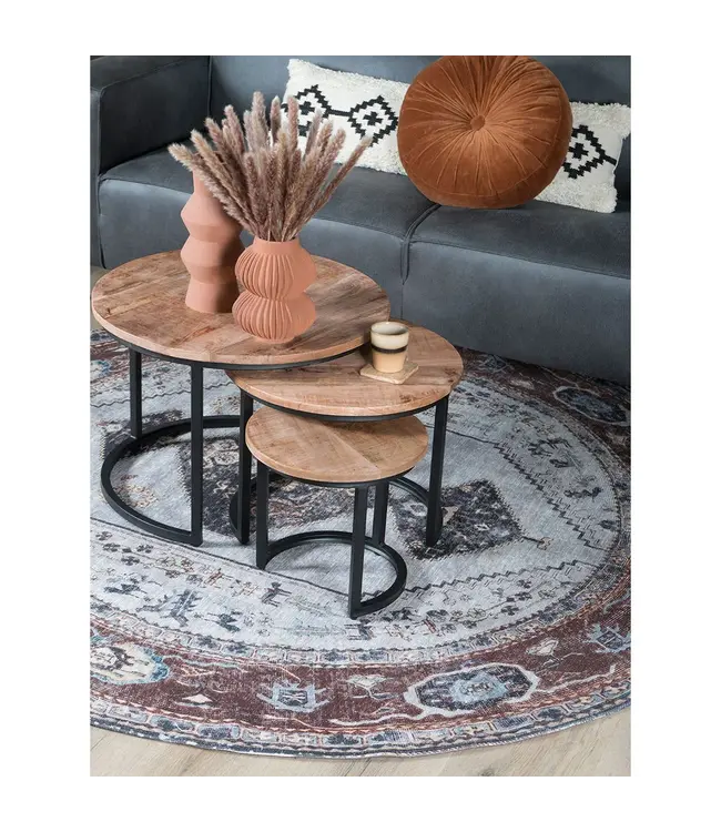 Home67 Salontafel Set van 3 – Industriële Salontafelset Erjan – Mangohout