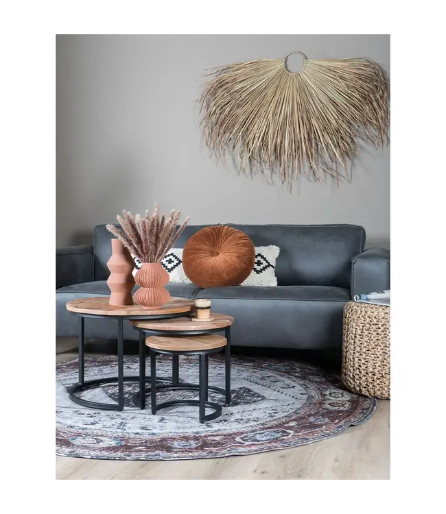 Home67 Salontafel Set van 3 – Industriële Salontafelset Erjan – Mangohout
