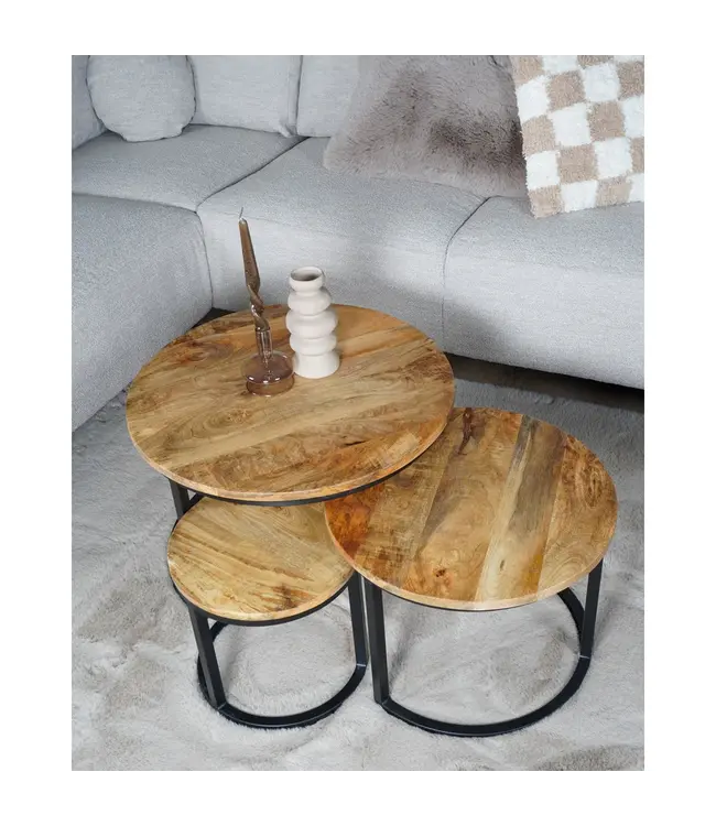 Home67 Salontafel Set van 3 – Industriële Salontafelset Erjan – Mangohout