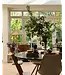 Floer floer-walvisgraat-click-pvc-balein-beige