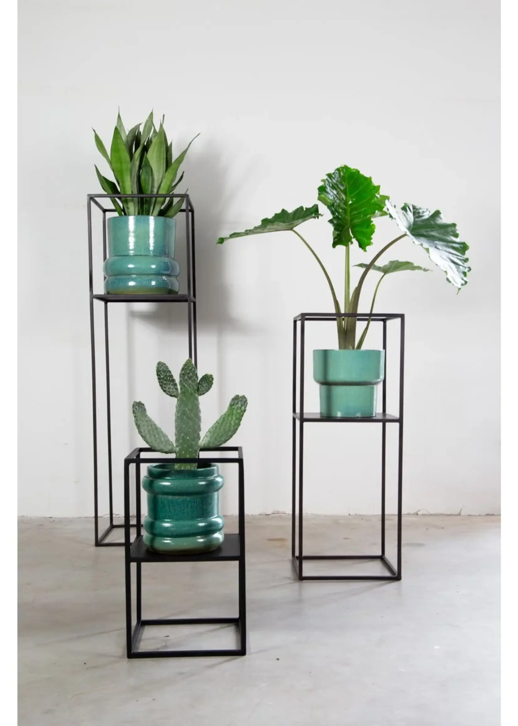 Archi plantentafelset 3