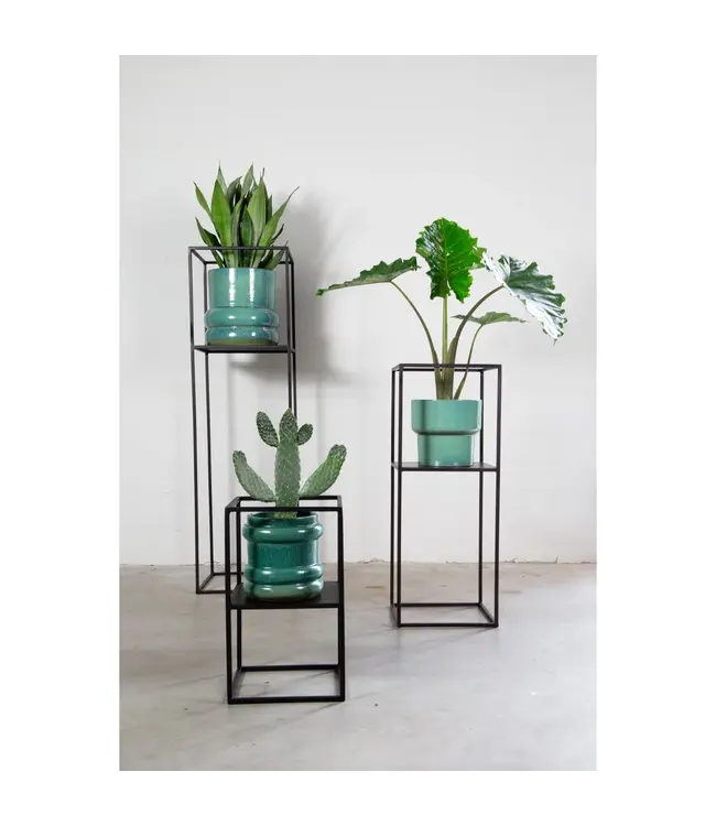 Archi plantentafelset 3