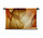 Transparante en delicate bladeren