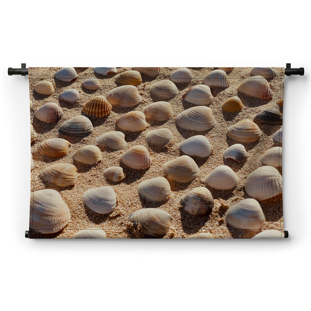 Close-up schelpen op het strand