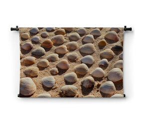 Close-up schelpen op het strand