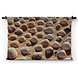 Close-up schelpen op het strand