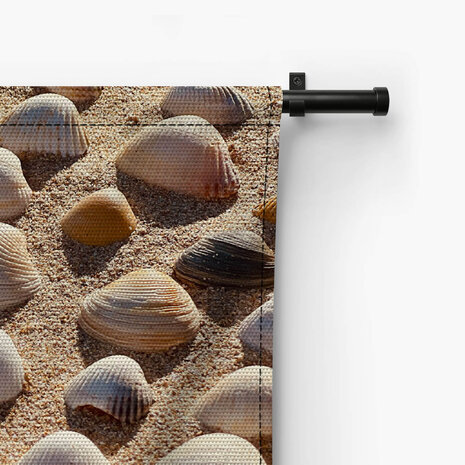 Close-up schelpen op het strand