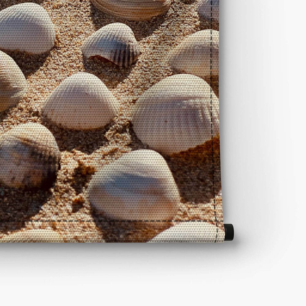 Close-up schelpen op het strand