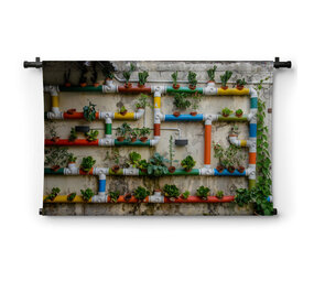 Kleurrijke buizen met planten