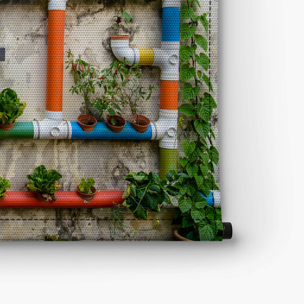 Kleurrijke buizen met planten